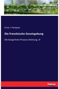 Die französische Gesetzgebung