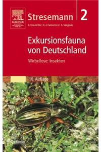 Stresemann - Exkursionsfauna Von Deutschland. Band 2: Wirbellose: Insekten