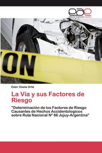 Vía y sus Factores de Riesgo