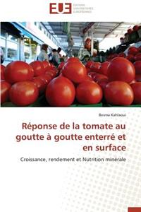 Réponse de la tomate au goutte à goutte enterré et en surface