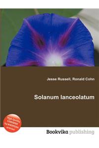 Solanum Lanceolatum