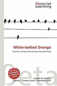 White-Bellied Drongo