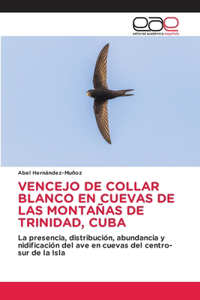 Vencejo de Collar Blanco En Cuevas de Las Montañas de Trinidad, Cuba