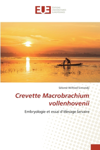 Crevette Macrobrachium vollenhovenii
