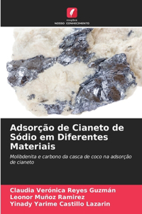 Adsorção de Cianeto de Sódio em Diferentes Materiais