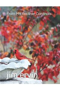 From MY Recliner Cardinals