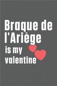 Braque de l'Ariège is my valentine