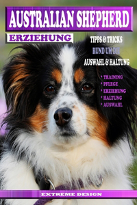 Australian Shepherd Erziehung