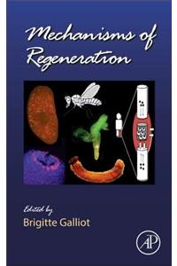 Mechanisms of Regeneration