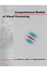 Computational Models of Visual Processing