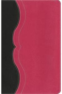 NIV, Quest Study Bible, Personal Size, Leathersoft, Gray/Pink, Indexed