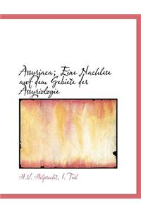 Assyriaca; Eine Nachlese Auf Dem Gebiete Der Assyriologie (Lassyriaca; Eine Nachlese Auf Dem Gebiete Der Assyriologie Arge Print Edition)