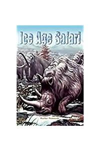 Rigby Focus Fluency: Leveled Reader Bookroom Package Nonfiction (Levels O-S) Ice Age Safari