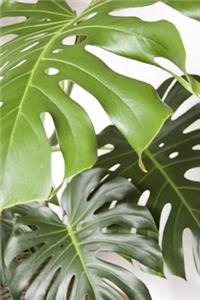 Tropical Monstera Plant Journal