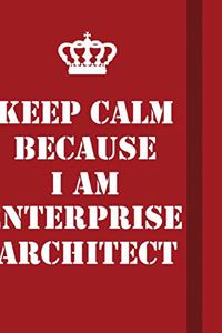 Keep Calm Because I Am enterprise architect