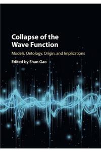 Collapse of the Wave Function