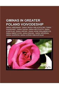 Gminas in Greater Poland Voivodeship