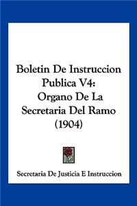 Boletin De Instruccion Publica V4