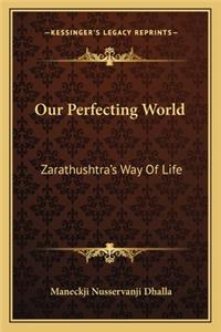 Our Perfecting World