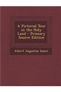 A Pictorial Tour in the Holy Land - Primary Source Edition