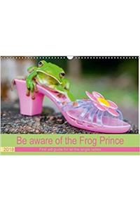 Be Aware of the Frog Prince 2018