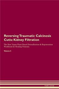 Reversing Traumatic Calcinosis Cutis: Kidney Filtration The Raw Vegan Plant-Based Detoxification & Regeneration Workbook for Healing Patients. Volume 5