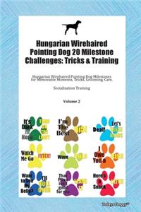 Hungarian Wirehaired Pointing Dog 20 Milestone Challenges
