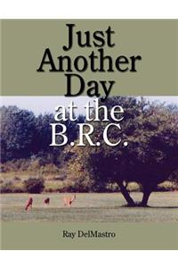 Just Another Day at the B.R.C.