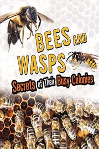 Bees and Wasps