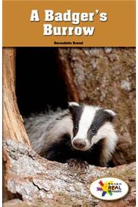 Badger's Burrow