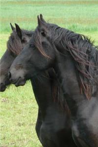 The Friesian Horse Journal