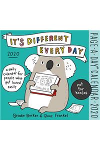 It's Different Every Day Page-A-Day Calendar 2020