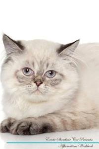 Exotic Shorthair Cat Affirmations Workbook Exotic Shorthair Cat Presents