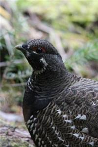 Alaska State Bird - Willow Ptarmigan Journal