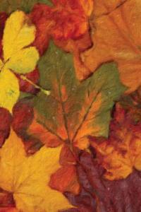 Autumn Leaves Painted Notebook
