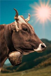 Cow with a Bell in the Sun Journal
