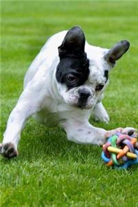 Darling French Bulldog Playing in the Park Dog Pet Journal