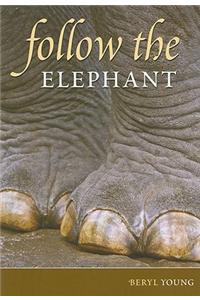 Follow the Elephant