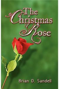 Christmas Rose