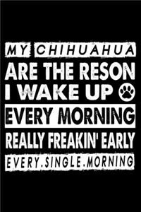 My chihuahua Are The Reason I Wake Up Every Morning Really Freakin' Early Every.Single.Morning.