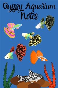 Guppy Aquarium Notes