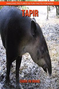 Tapir