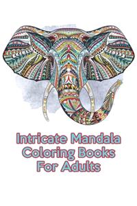 Intricate Mandala Coloring Books For Adults