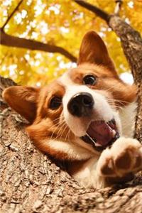 Tree Dog Notebook