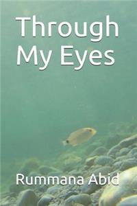 Through My Eyes