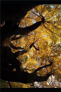 Ginkgo Biloba Tree with Autumn Leaves Journal