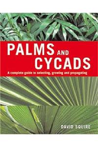 Palms and Cycads