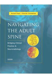 Navigating the Adult Spine