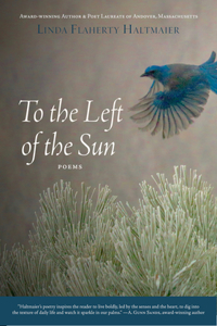 To the Left of the Sun