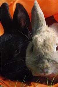 Pair of Rabbits in an Orange Bag Journal